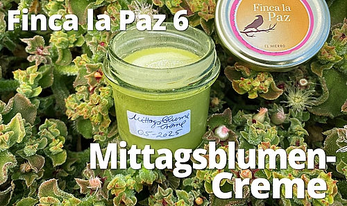 Finca La Paz 6 Mittagsblumencreme