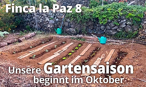 Finca La Paz 8 Gartensaison