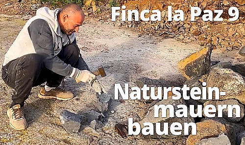 Finca La Paz 9 Natursteinmauern