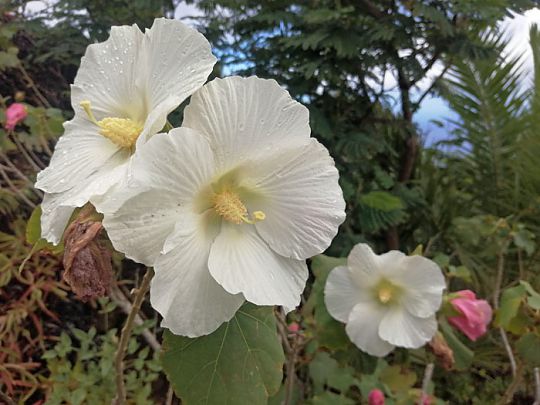 Verbunden mit der Natur